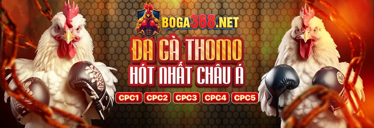 Tin tức 8vnd khuyến mãi mới nhất